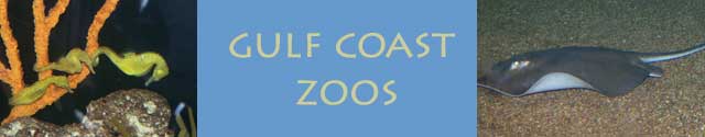 main banner